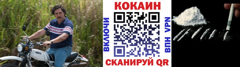 магазин продажи наркотиков  Ермолино  COCAIN Fish Scale 