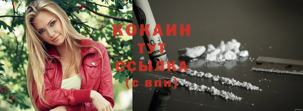 спайс Алексин