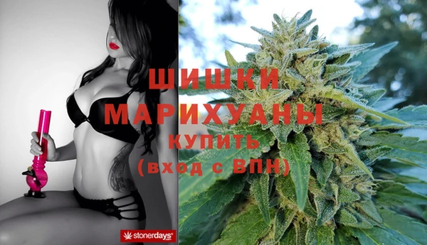 МДПВ Алзамай