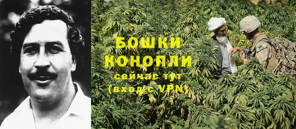 спайс Алексин