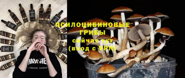 мяу мяу мука Костерёво