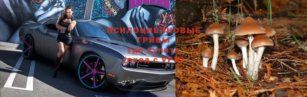 МДПВ Алзамай
